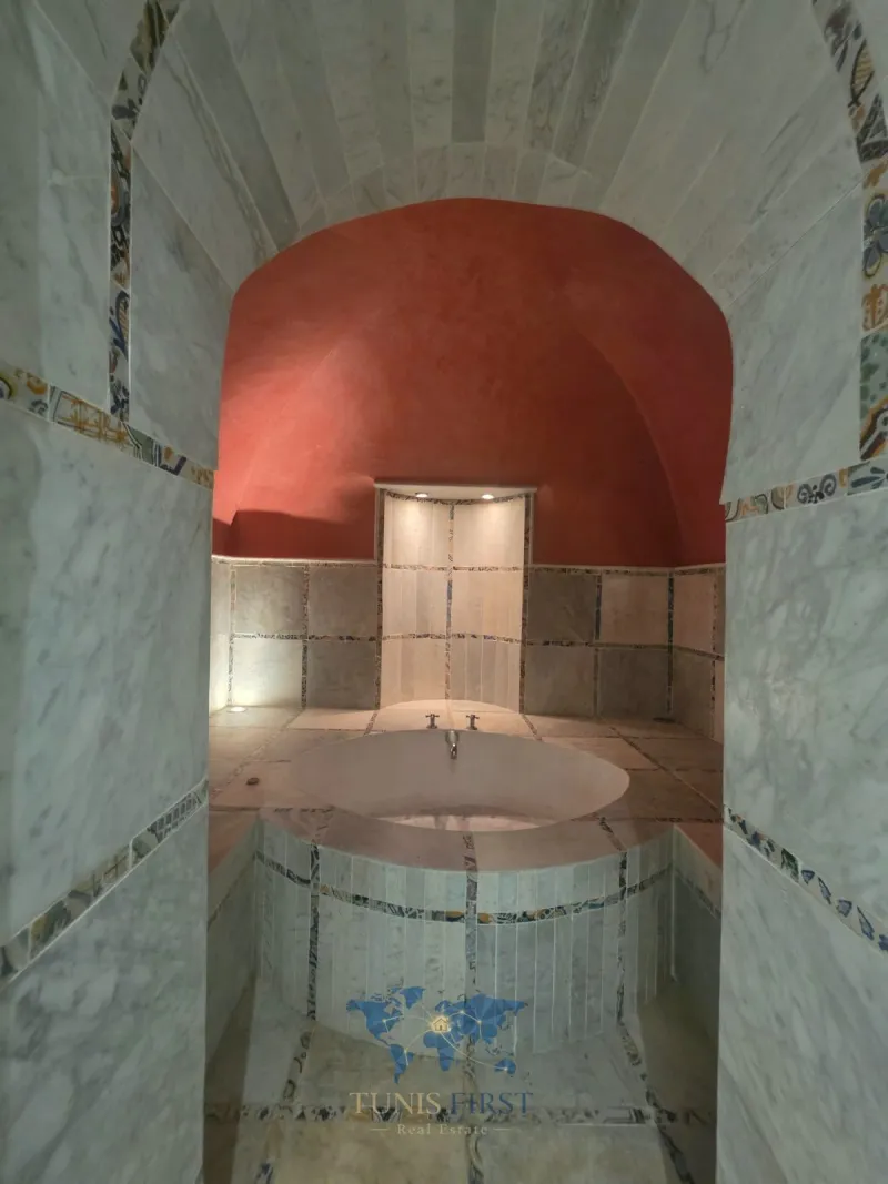 A Louer Château de maître Style El Beyet à Sidi Bou Saïd — Carthage